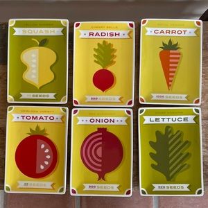 CRATE & BARREL 6 Small Plates for Gourmet Dishes Vegetables Fruits Picture Nice!